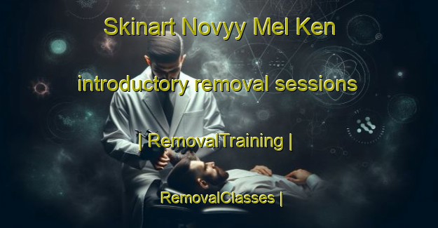 Skinart Novyy Mel Ken introductory removal sessions | RemovalTraining | RemovalClasses | SkinartTraining-Russian Federation